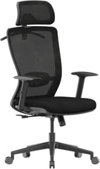 Ergonomic Office Chair,Mesh Back Swivel Computer Chair,Home Office Desk Chairs,with 4D Headrest/Lumbar Support Retractable