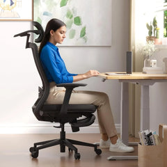 Ergonomic Office Chair,Mesh Back Swivel Computer Chair,Home Office Desk Chairs,with 4D Headrest/Lumbar Support Retractable